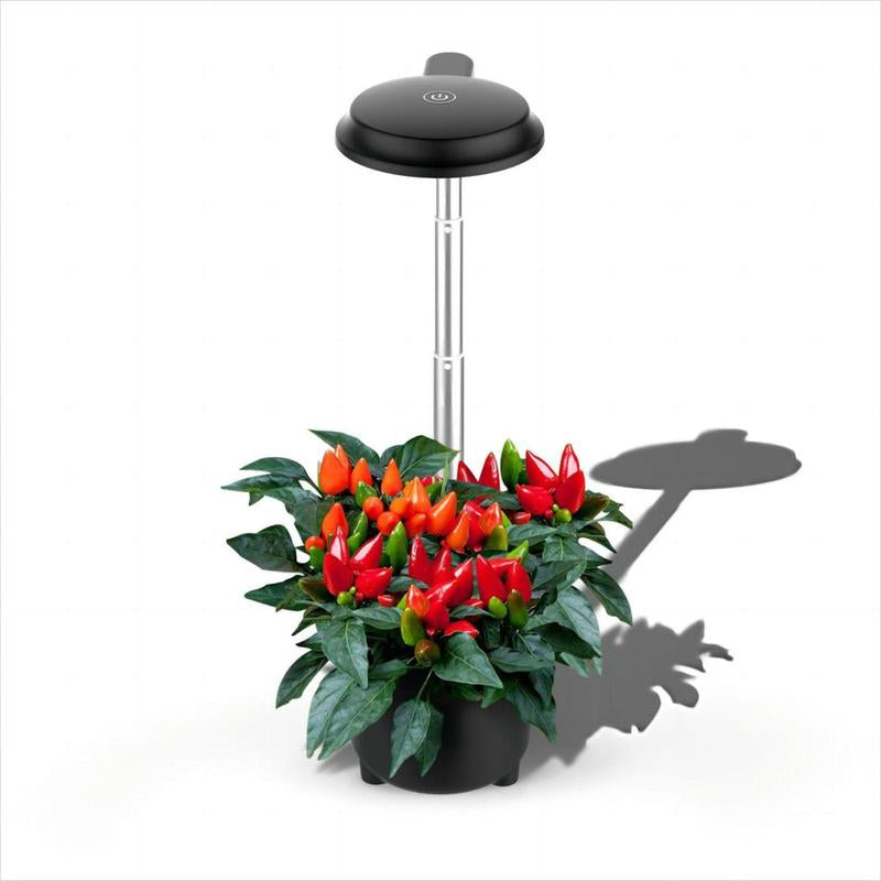 3 Pods Hydroponic Mini Growing System